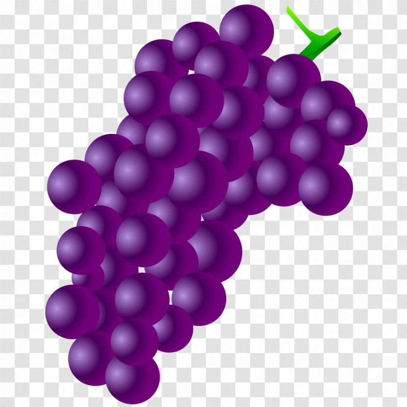 Grape Seed Extract Fruit Adobe Photoshop - Designer - Vitis Transparent PNG