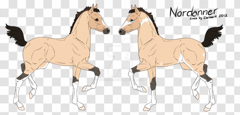 Mustang Foal Bridle Stallion Halter - Horse Like Mammal Transparent PNG