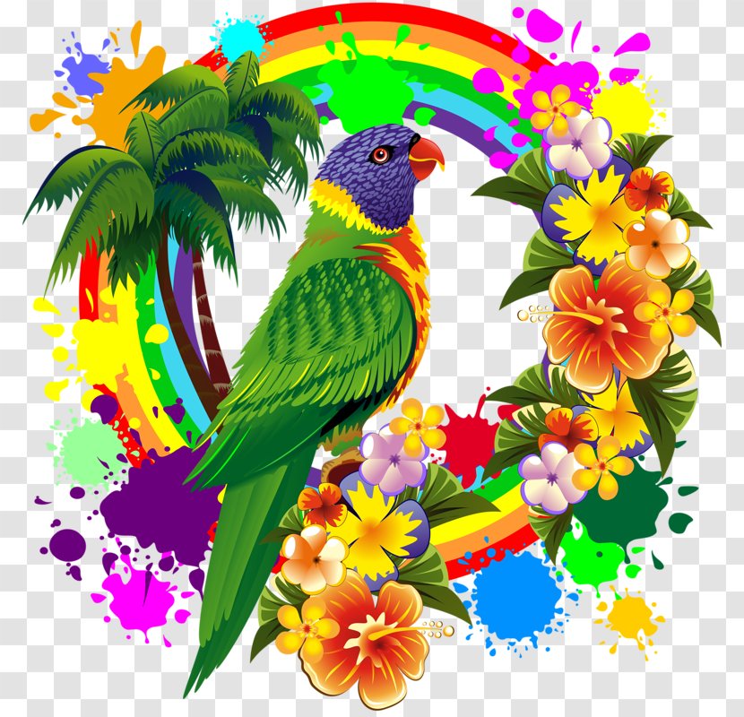 Parrot Rainbow Lorikeet T-shirt Lories And Lorikeets - Fauna Transparent PNG