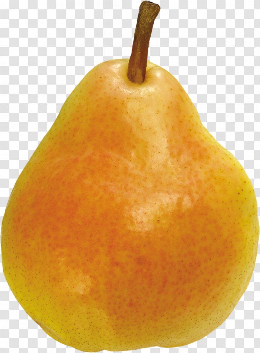 Asian Pear File Format Image - Pears Cartoon Transparent PNG