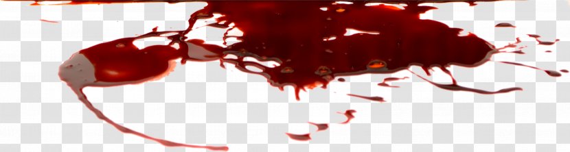 Blood Clip Art - Flower - Image Transparent PNG