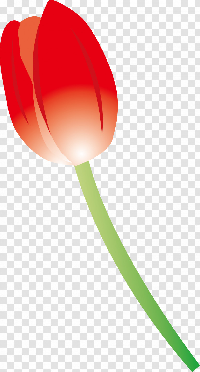 Red Tulip Plant Transparent PNG