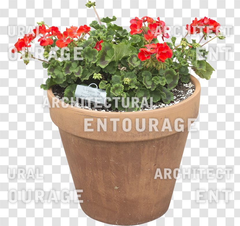 Flowerpot Artificial Flower Plants Houseplant - Tasmanian Flaxlily - Red Pot Transparent PNG