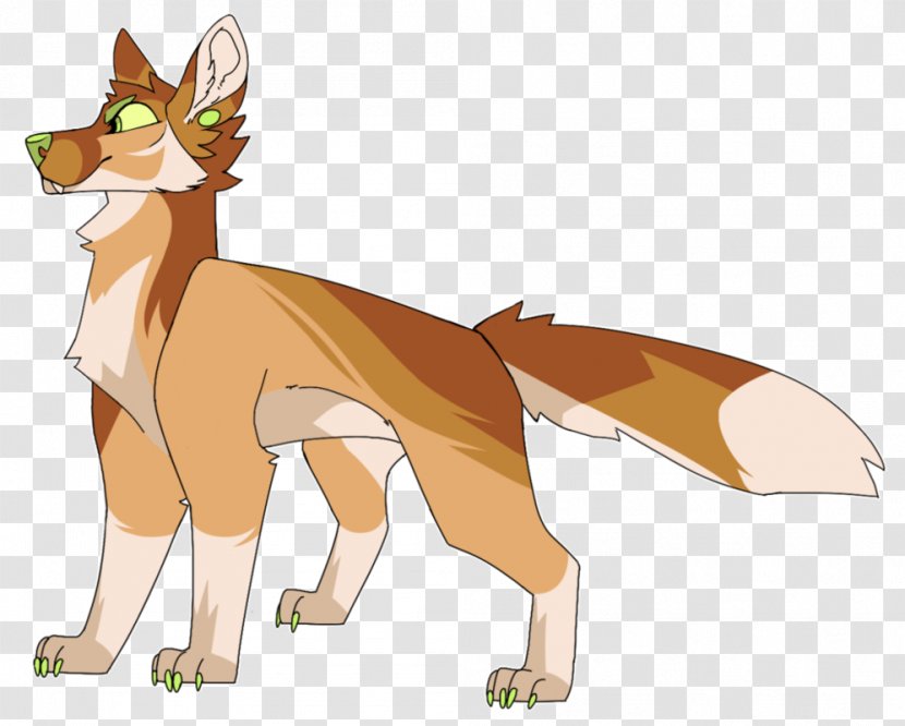 Red Fox Cat Mammal Tail Cartoon - Like - Wolf Transparent PNG