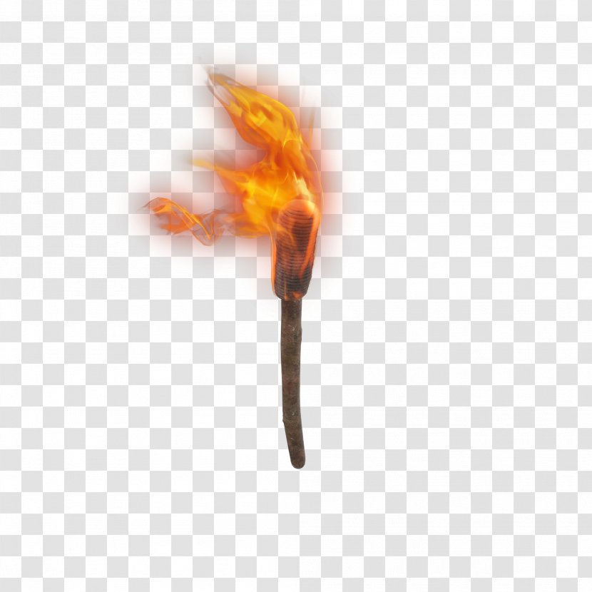 Torch Image Clip Art Fire - Middle Ages - Lily Transparent PNG