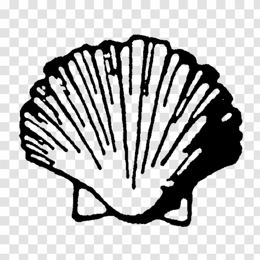 Scallop Royalty-free Clip Art - Seashell Transparent PNG