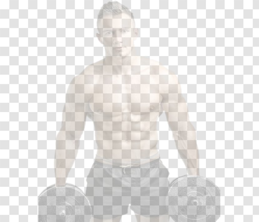 Physical Fitness Man Exercise Male Weight Training - Tree - Body Conditioning Transparent PNG