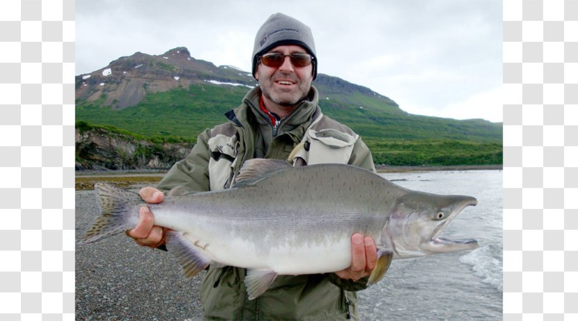 Coho Salmon Recreational Fishing Chum Sockeye Atlantic - Fillet - Like Fish Transparent PNG