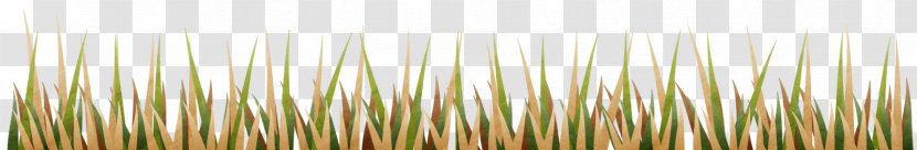 Blog GIF Image Bauernhof Friendship - Grass - Mat Transparent PNG