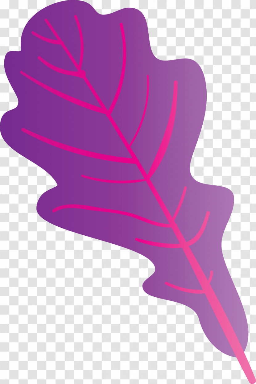 Autumn Leaf Colourful Foliage Colorful Leaves Transparent PNG