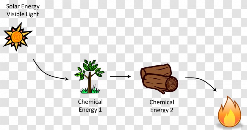 Chemical Energy Chemistry Thermal Heat - Flora Transparent PNG