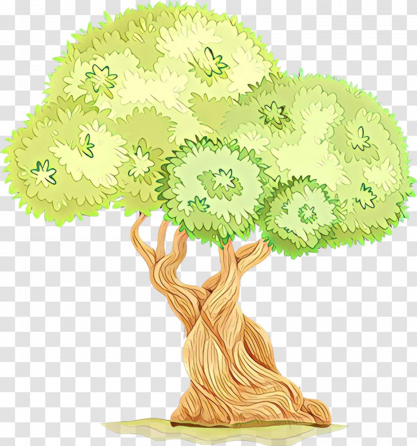 Tree Green Plant Woody Leaf - Grass Houseplant Transparent PNG