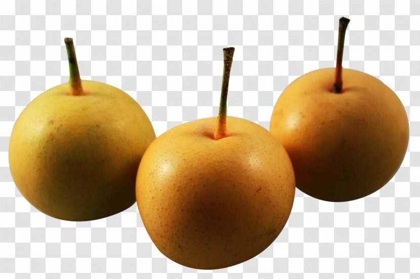 Asian Pear - If We - Nashi Transparent PNG