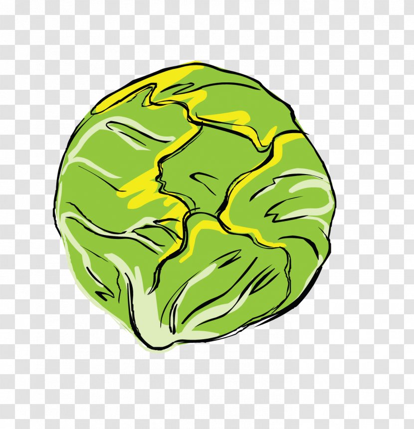 Vegetable Cabbage - Frame Transparent PNG