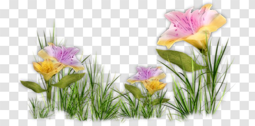 Desktop Wallpaper Image Blog Printemps - Grass - Floral Cluster Transparent PNG