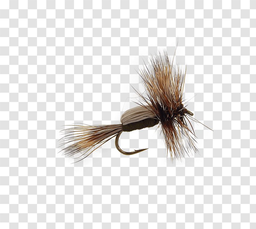 Artificial Fly Insect Nymph Mayfly Fishing - Stock Keeping Unit - Tying Transparent PNG
