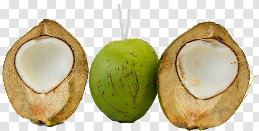 Coconut Water Health Shake Oil Fruit - Tropical Transparent PNG