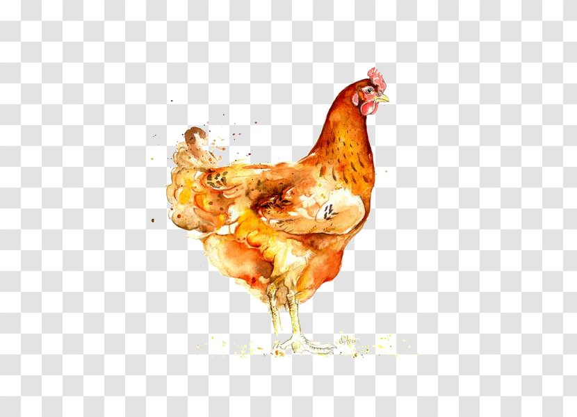 Roast Chicken Watercolor: Animals Watercolor Painting - Poultry - Hand-painted Big Cock Transparent PNG