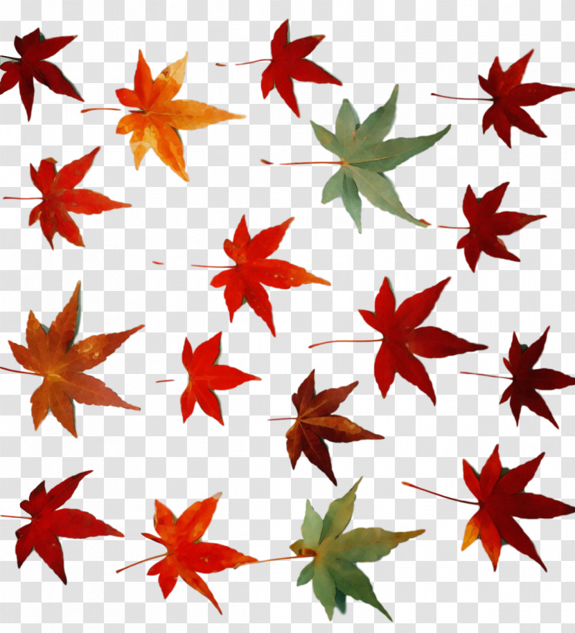 Leaf Flower Maple Leaf / M Line Pattern Transparent PNG