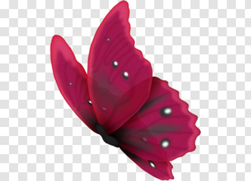 Butterfly PhotoScape Clip Art - Moths And Butterflies Transparent PNG