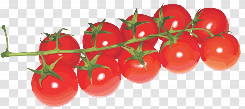 Cherry Tomato Clip Art - Image Transparent PNG