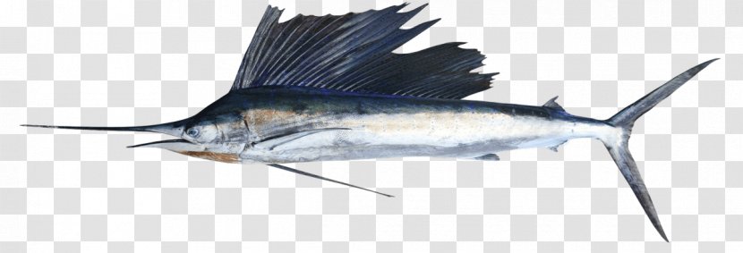 Fishing Cartoon - Seafood - Bonyfish Osmeriformes Transparent PNG