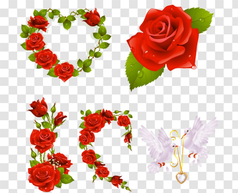 Heart Cabbage Rose Clip Art - Cut Flowers - на прозрачном фоне Transparent PNG