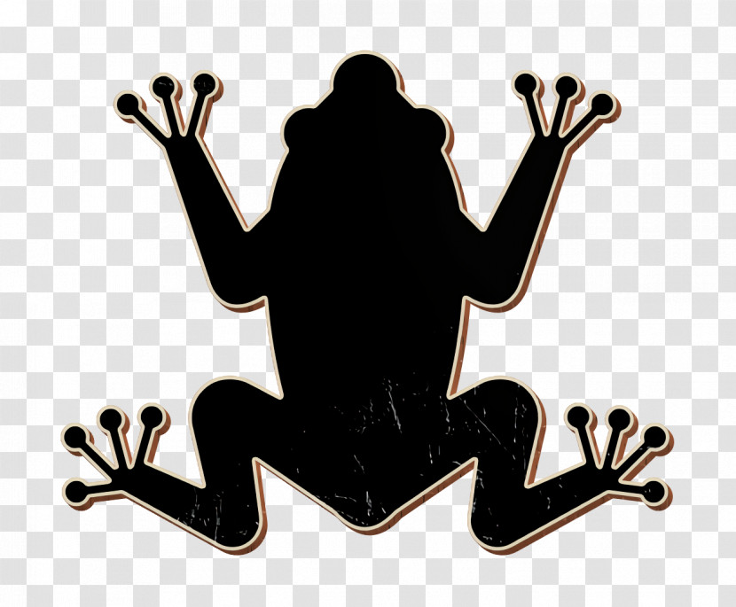 Tropical Frop Icon Animals Icon Amphibian Icon Transparent PNG