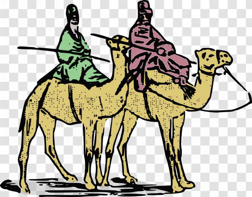 Dromedary Horse Pattern Camels Science Transparent PNG