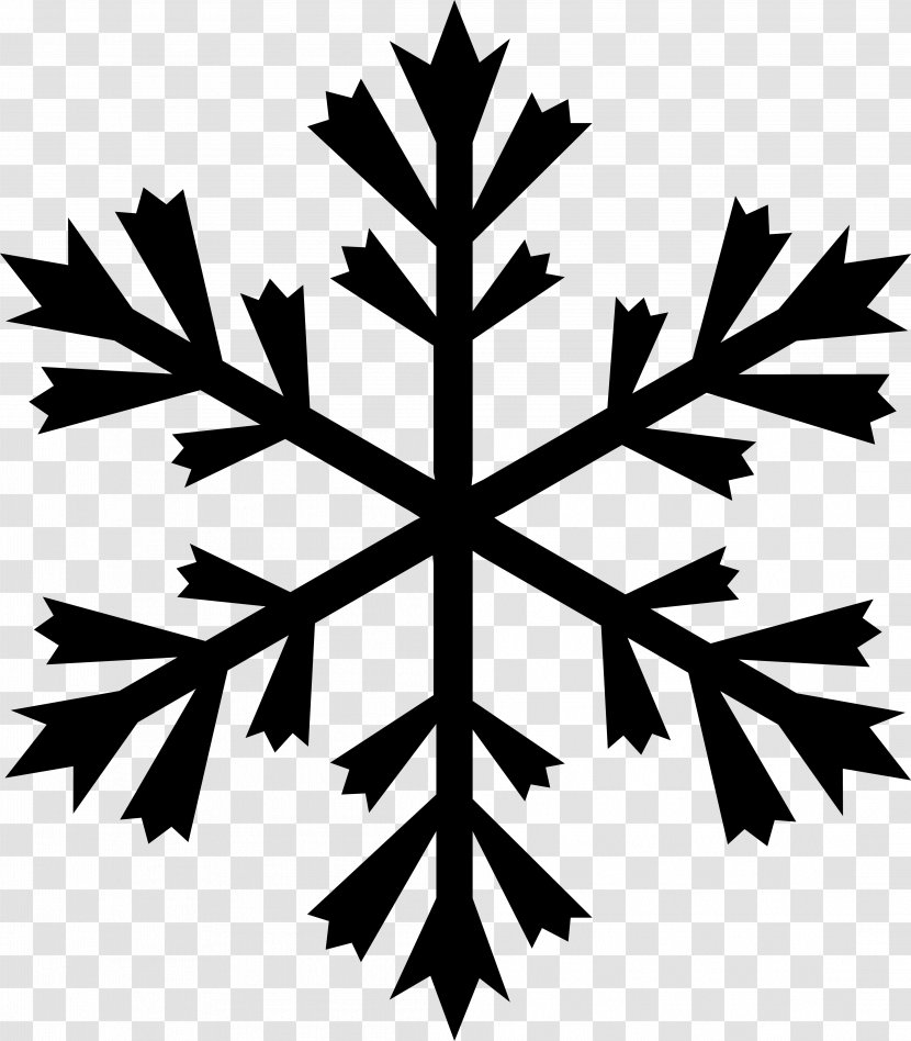 Snowflake Logo - Branch - Download AI Transparent PNG