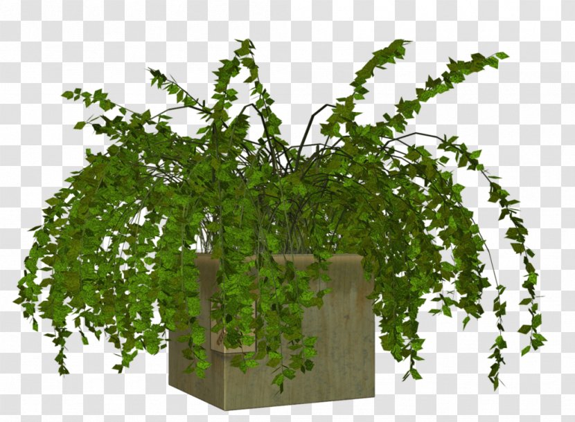 Plant Flowerpot - Leaf Transparent PNG