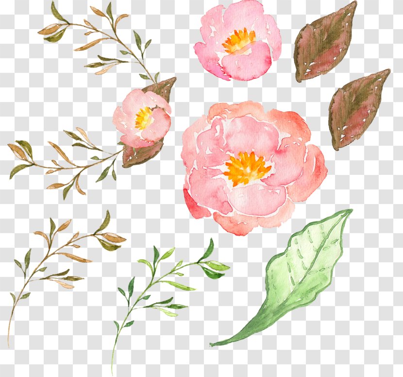Border Flowers Peony - Rose Family - Pink Flower Transparent PNG