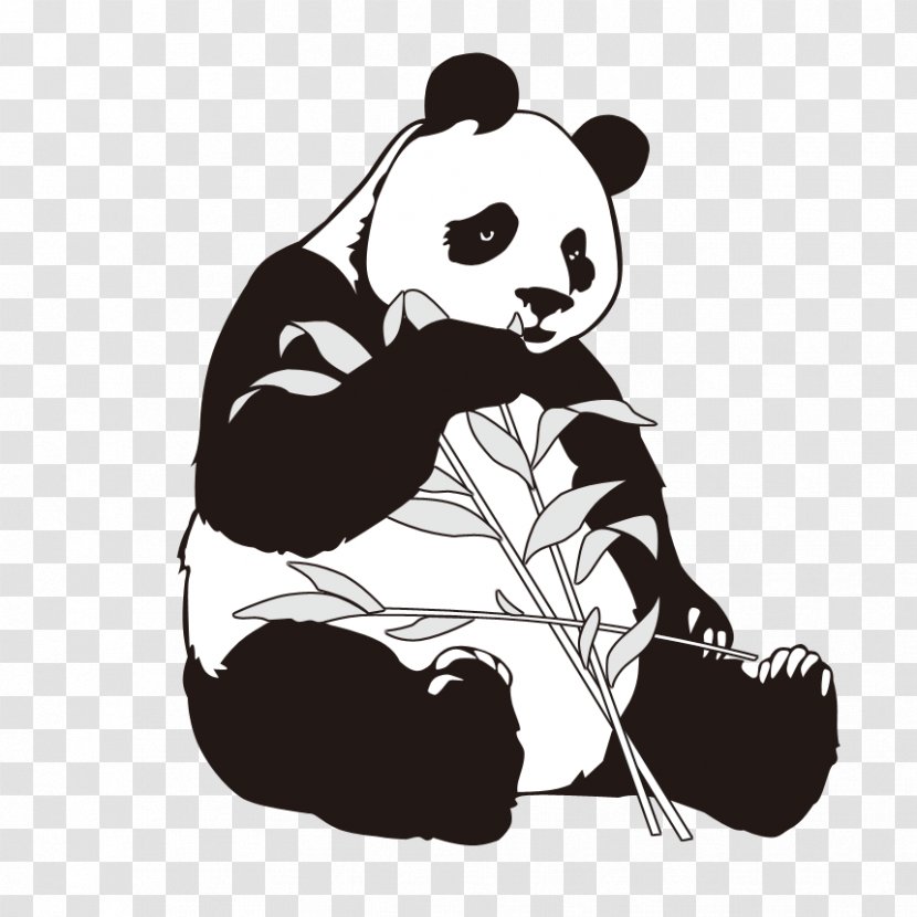 Giant Panda Bamboo Clip Art - Drawing - Cartoon Transparent PNG