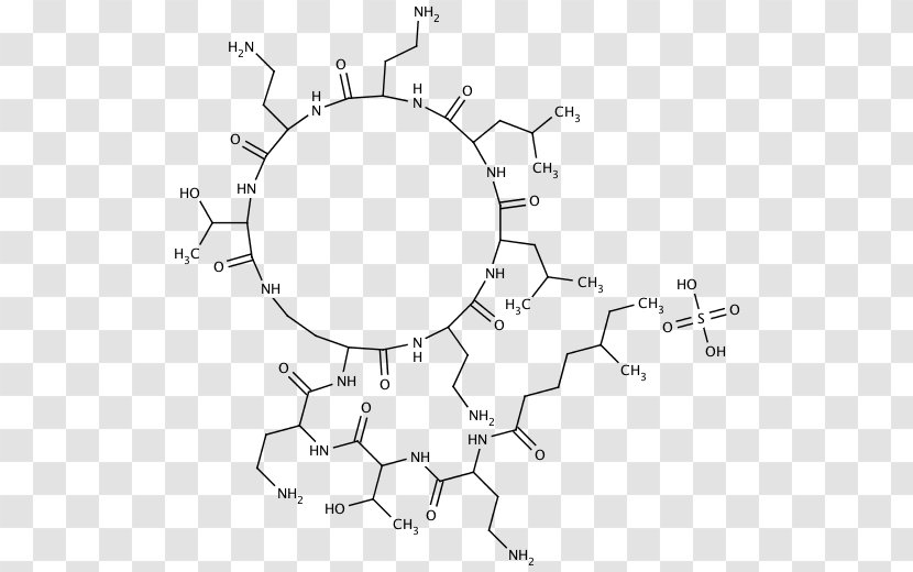 Drawing Circle Car White Point - Number Transparent PNG