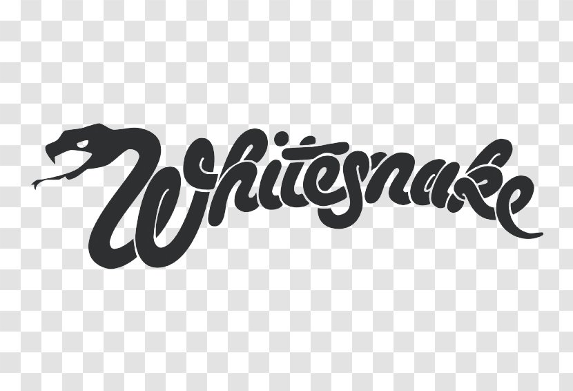 Whitesnake Ready An' Willing 30th Anniversary Collection Phonograph Record Hard Rock - Calligraphy Transparent PNG