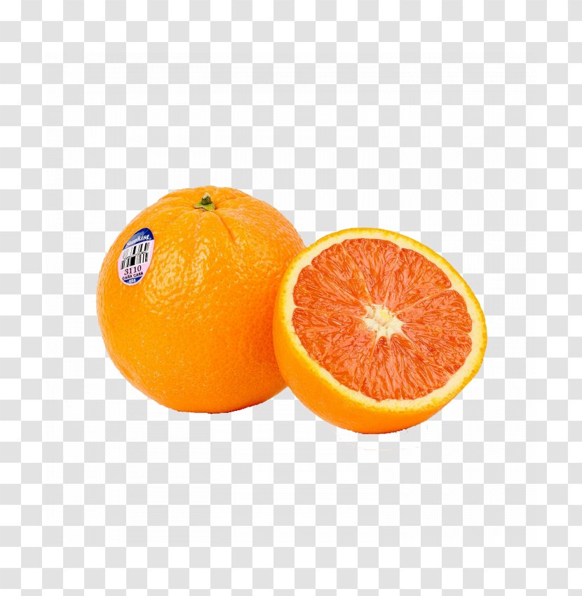 Blood Orange Tangerine Clementine Tangelo - Auglis Transparent PNG