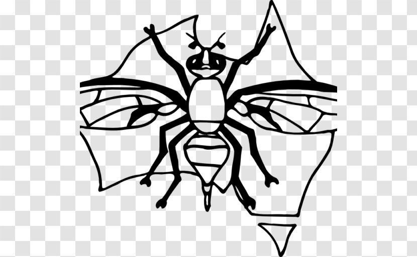 Common Fruit Fly Drawing Line Art Clip - Bactrocera Tryoni Transparent PNG