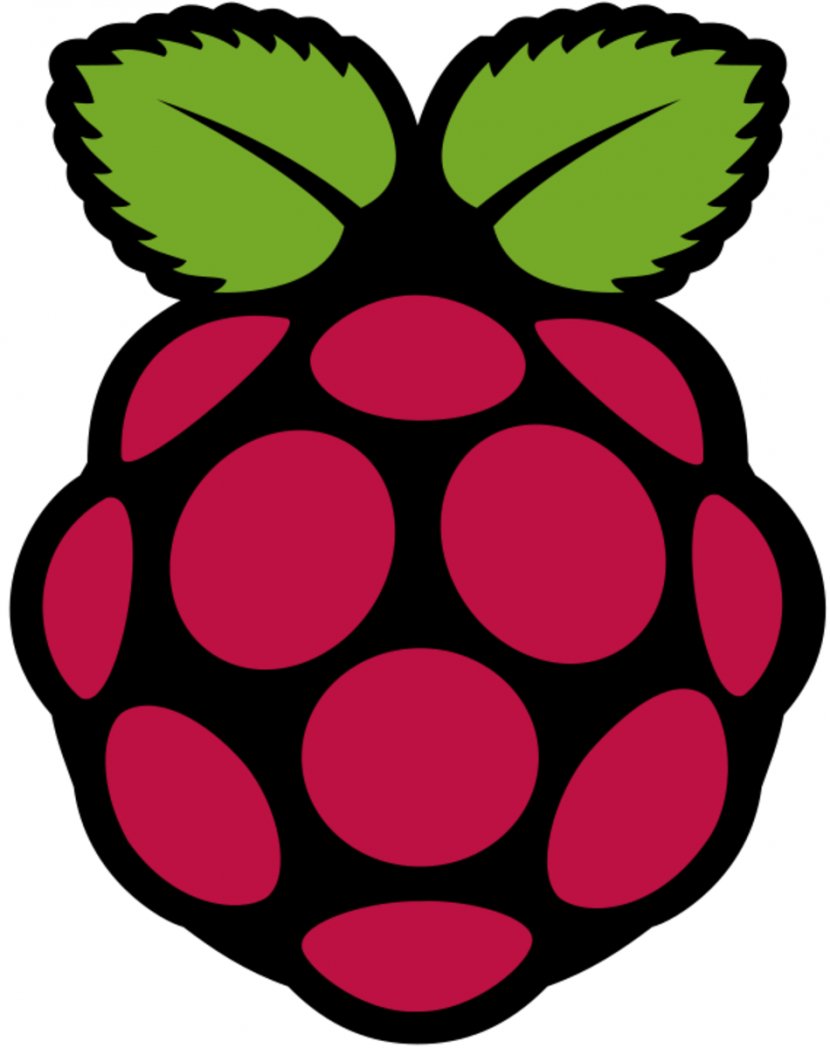 Raspberry Pi Logo Single-board Computer - 3 Transparent PNG
