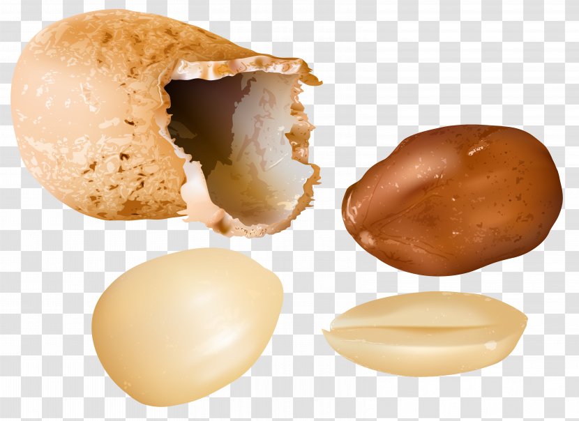 Peanut Clip Art - Nut - Nuts Transparent PNG