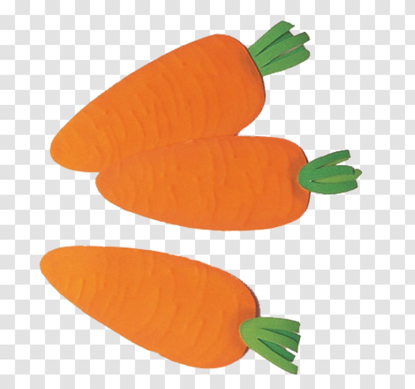 Carrot Vegetable Illustration - Dish Transparent PNG