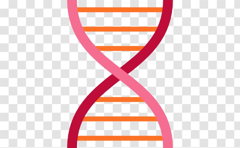 Science Biology Icon - Text - Stairs Transparent PNG
