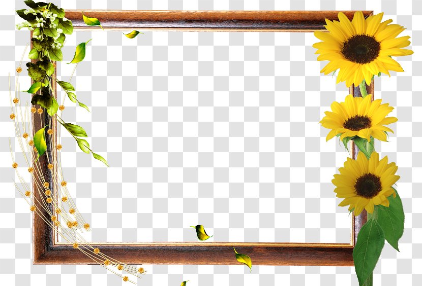 Autumn Adobe Photoshop Blog Psd - Sunflower - Cadre Bleu Transparent PNG