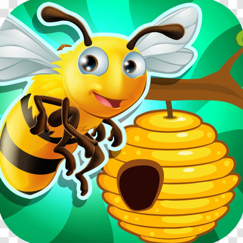 Honey Bee Honeycomb - Drawing - Hive Vector Material Transparent PNG