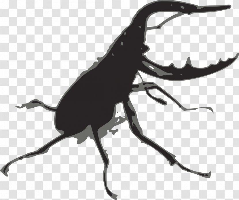Stag Beetle Lucanus Cervus Clip Art - Weevil Transparent PNG