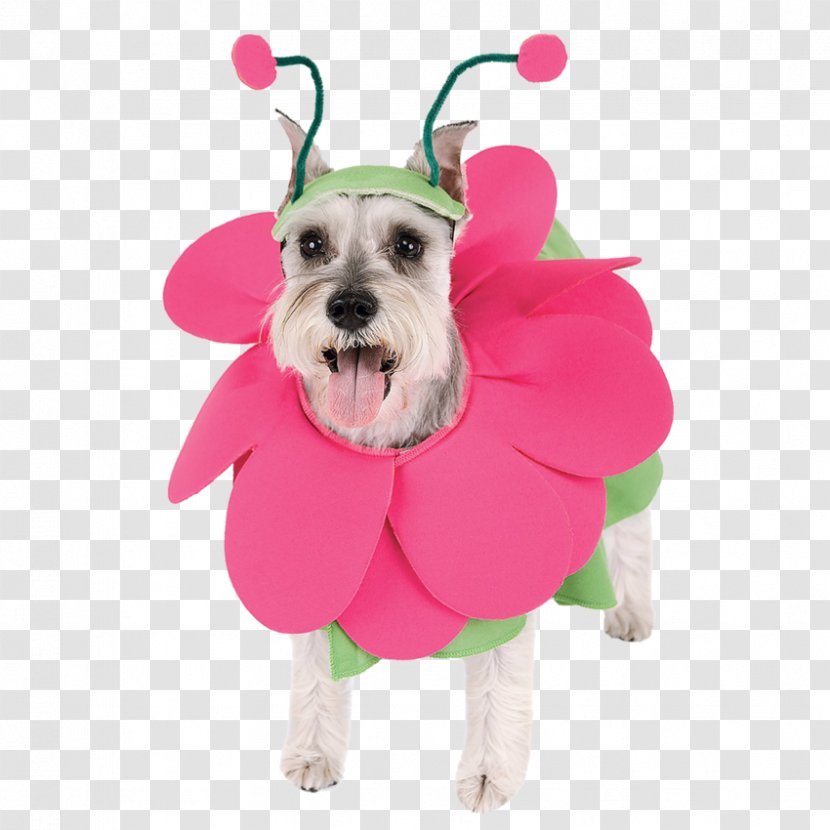 Pug Puppy Costume Flower Bouquet - Dog Crossbreeds - Cute Clothes Transparent PNG