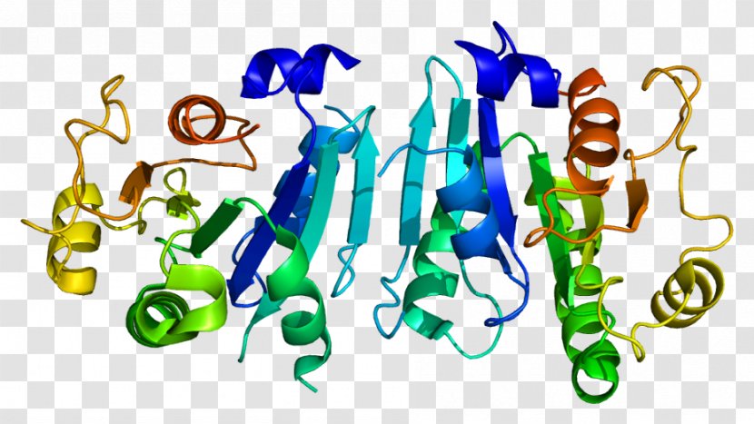 SAR1B SAR1A Protein GTPase ADP Ribosylation Factor - Watercolor - Secretion Transparent PNG