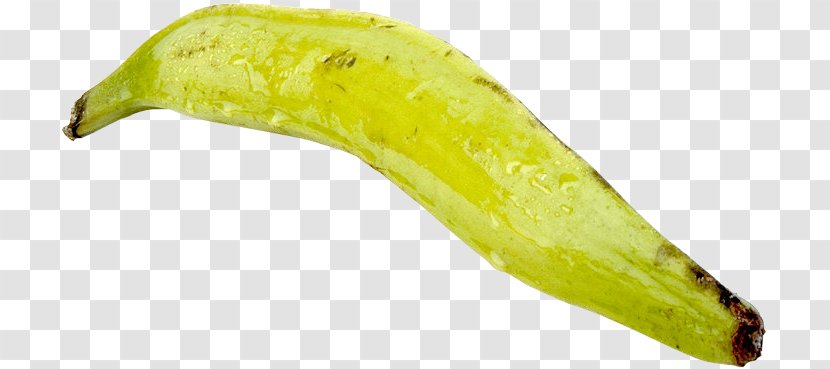Cooking Banana Vegetable - Larva Transparent PNG