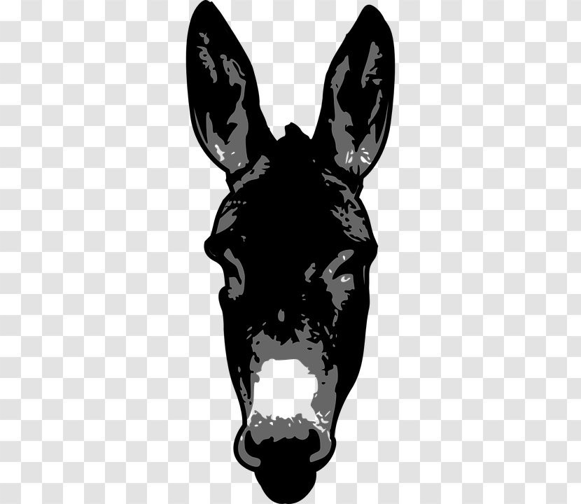 Donkey Clip Art Image Silhouette Vector Graphics Transparent PNG