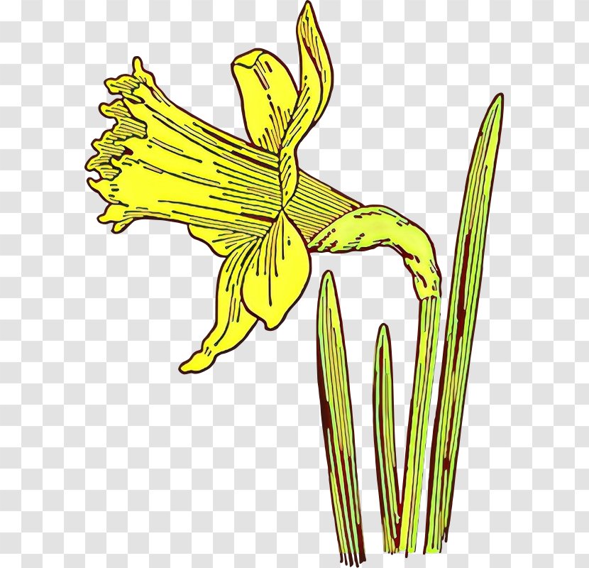 Drawing Of Family - Silhouette - Amaryllis Wildflower Transparent PNG