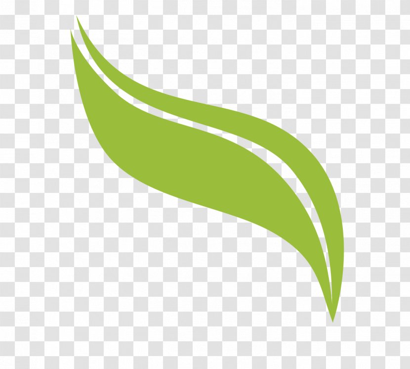 Leaf Logo Font - Plant Stem Transparent PNG